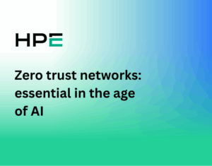zero-trust-networks-1-300x235