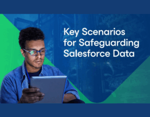 Key Scenarios for Safeguarding Salesforce Data