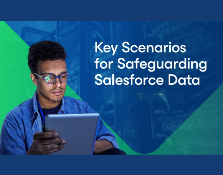 Key Scenarios for Safeguarding Salesforce Data