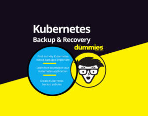 Kubernetes-Backup-Recovery-For-Dummies-2